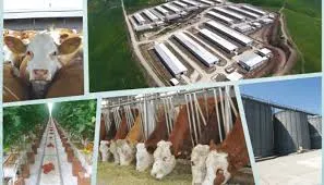 BOLVADİN ORGANİZE HAYVANCILIK BÖLGESİ İÇİN GEÇ KALMAYALIM